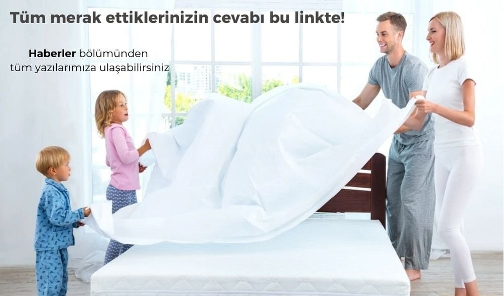 theme banner